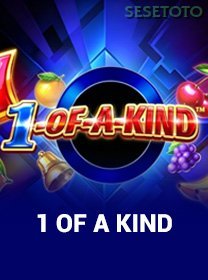 1 Of A Kind game cover