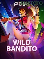 Wild Bandito game cover